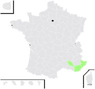 Saxifraga lantoscana Boiss. & Reut. - carte de répartition