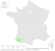 Saxifraga cuneata Willd. - carte de répartition