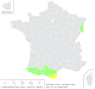 Saxifraga hirsuta L. - carte de répartition