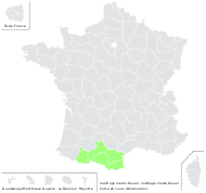 Saxifraga media Gouan - carte de répartition