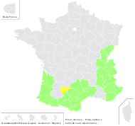 Erinus alpinus L. - carte de répartition