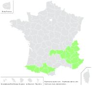 Euphrasia alpina Lam. - carte de répartition