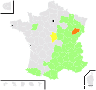Euphrasia cuspidatissima St.-Lag. - carte de répartition