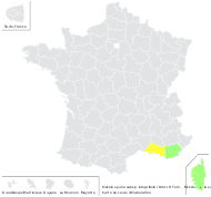 Kickxia spuria subsp. integrifolia (Brot.) R.Fern. - carte de répartition