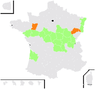 Lindernia erecta (Benth.) Bonati - carte de répartition