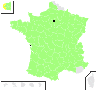 Carduus nutans L. - carte de répartition