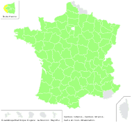 Carduus nutans L. - carte de répartition