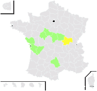 Euphrasia boraei (Rouy) Prain - carte de répartition