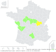 Odontites jaubertianus var. chrysanthus (Boreau) Bolliger - carte de répartition