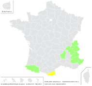 Pedicularis tuberosa var. minor Gaudin - carte de répartition