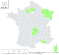 Rhinanthus minor subsp. stenophyllus (Schur) P.Fourn. - carte de répartition