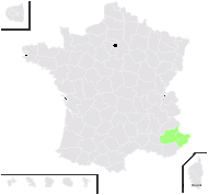 Rhinanthus pseudoantiquus Kunz - carte de répartition