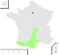Scrophularia scopolii subsp. alpestris (J.Gay) P.Fourn. - carte de répartition
