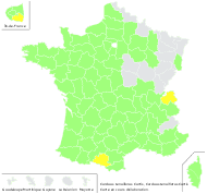 Carduus tenuiflorus Curtis - carte de répartition