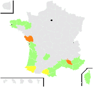 Scrophularia peregrina L. - carte de répartition