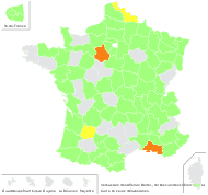 Verbascum densiflorum Bertol. - carte de répartition