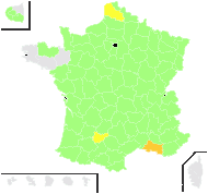 Verbascum pyrenaicum Gand. - carte de répartition