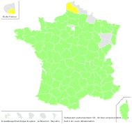 Verbascum pulverulentum Vill. - carte de répartition