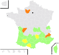 Verbascum rotundatum Jahand. & Maire - carte de répartition