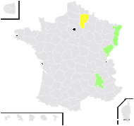 Veronicastrum dentatum (F.W.Schmidt) Opiz - carte de répartition