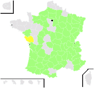 Veronica teucrium L. - carte de répartition