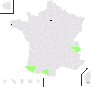 Veronica bellidioides f. lilacina (F.Towns.) B.Bock - carte de répartition