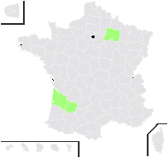 Capsicum annuum L. - carte de répartition