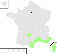 Carlina lanata L. - carte de répartition