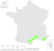Datura ferox L. - carte de répartition