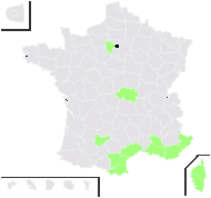 Datura innoxia Mill. - carte de répartition