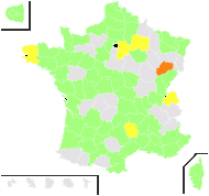 Lycium barbarum L. - carte de répartition