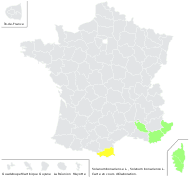 Solanum bonariense L. - carte de répartition