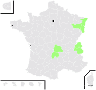 Carlina vulgaris subsp. stricta (Rouy) Domin - carte de répartition
