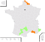 Solanum viscosum Lag. - carte de répartition