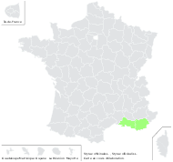 Styrax officinalis L. - carte de répartition