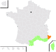 Tamarix hispanica Boiss. - carte de répartition