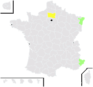 Carthamus tinctorius L. - carte de répartition