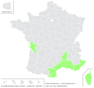 Pistacia lentiscus L. - carte de répartition