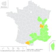 Daphne alpina L. - carte de répartition
