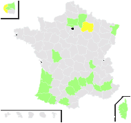 Tilia pallida Salisb. - carte de répartition