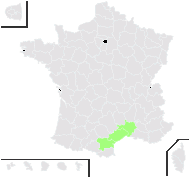 Centaurea acaulis L. - carte de répartition