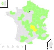 Tilia ×europaea L. - carte de répartition