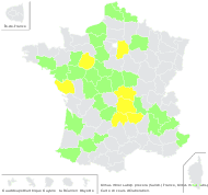 Ulmus minor subsp. procera (Salisb.) Franco - carte de répartition