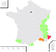 Centaurea menteyerica Chaix - carte de répartition