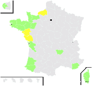 Soleirolia corsica Gaudich. - carte de répartition