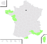 Urtica lusitanica Brot. - carte de répartition