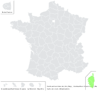 Centranthus trinervis (Viv.) Bég. - carte de répartition