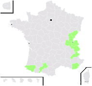 Valeriana montana L. f. montana  - carte de répartition