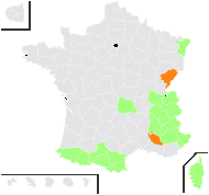 Viola biflora L. - carte de répartition