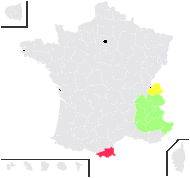 Viola cenisia L. - carte de répartition